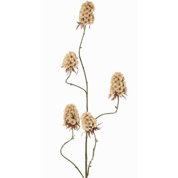 Konstgjord gren av skäggnejlika MARDUEN, beige, 115cm, Ø5cm