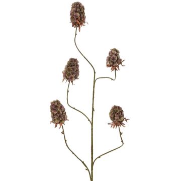 Konstgjord gren av skäggnejlika MARDUEN, grön-rosa, 115cm, Ø5cm Konstgjord gren av skäggnejlika MARDUEN, grön-rosa, 115cm, Ø5cm