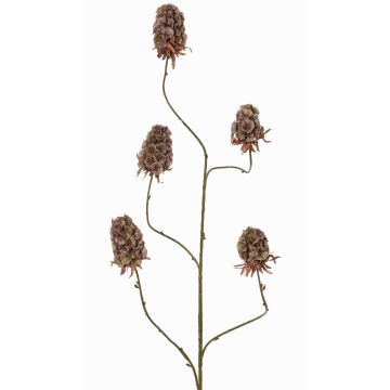 Konstgjord gren av skäggnejlika MARDUEN, grön-rosa, 115cm, Ø5cm