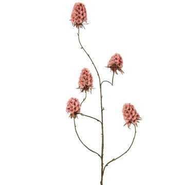 Konstgjord gren av skäggnejlika MARDUEN, mauve, 115cm, Ø5cm Konstgjord gren av skäggnejlika MARDUEN, mauve, 115cm, Ø5cm