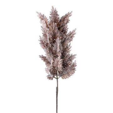 Dekorativ gren av pampasgräs PANCHE med fröställning, aubergine, 90cm Dekorativ gren av pampasgräs PANCHE med fröställning, aubergine, 90cm