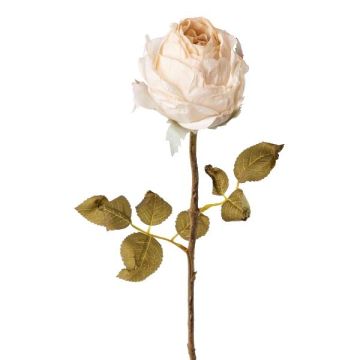 Konstblomma ros ZONFER, torkad look, krämfärgad, 60cm, Ø8cm