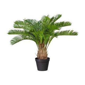 Konstgjord palm Cycas ZULEY i dekorativ kruka, 60cm