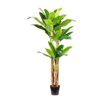 Konstgjord palm och bananväxt FABIEN i dekorativ kruka, 240cm Konstgjord palm och bananväxt FABIEN i dekorativ kruka, 240cm