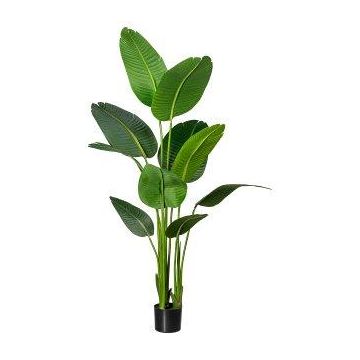 Konstväxt Strelitzia DREVORA, grön, 160cm Konstväxt Strelitzia DREVORA, grön, 160cm