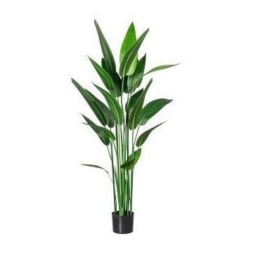 Konstväxt vattencanna TAFRO, grön, 140cm Konstväxt vattencanna TAFRO, grön, 140cm