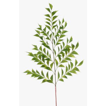 Dekorationsblad fiskstjärtpalm MAXIN, 130cm