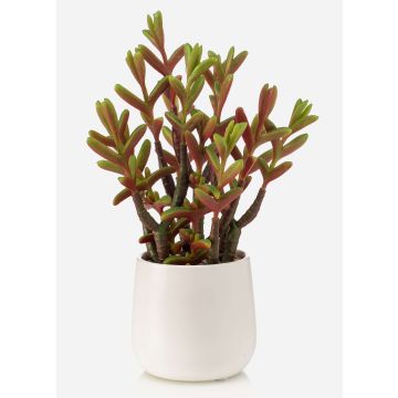 Konstgjord suckulent Sedum reflexum NORSHO i dekorativ kruka, grön-röd, 27cm