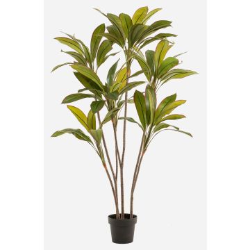 Konstväxt Cordyline MEIKE, konststammar, dekorativ kruka, grön, 160cm