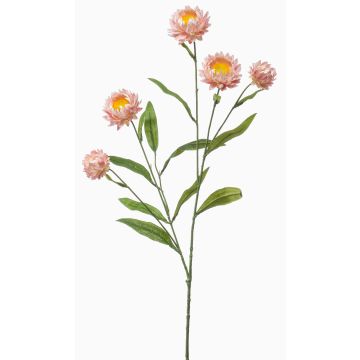 Dekorativ kvist med stråblomma SNAVIK, rosa, 70cm Dekorativ kvist med stråblomma SNAVIK, rosa, 70cm