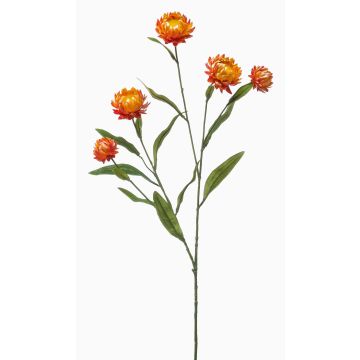 Dekorativ kvist med stråblomma SNAVIK, orange, 70cm Dekorativ kvist med stråblomma SNAVIK, orange, 70cm