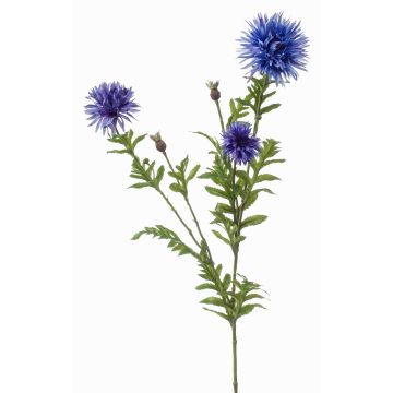 Dekorativ kvist med blåklint BROLIX, ljusblå, 100cm, Ø6-12cm Dekorativ kvist med blåklint BROLIX, ljusblå, 100cm, Ø6-12cm