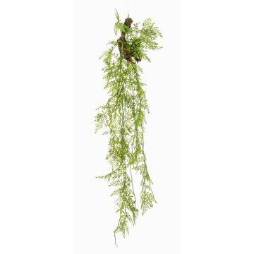 Konstgjord hängväxt Asparagus Plumosus SHALLON på gren, grön, 110cm
