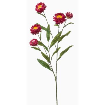 Dekorativ kvist med stråblomma SNAVIK, cerise, 70cm Dekorativ kvist med stråblomma SNAVIK, cerise, 70cm
