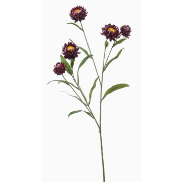 Dekorativ kvist med stråblomma SNAVIK, lila, 70cm Dekorativ kvist med stråblomma SNAVIK, lila, 70cm