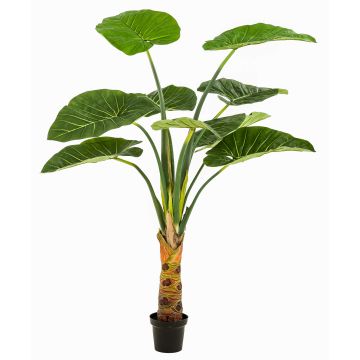 Konstgjord växt Alocasia Calidora NICAS, dekorativ kruka, grön, 160cm Konstgjord växt Alocasia Calidora NICAS, dekorativ kruka, grön, 160cm
