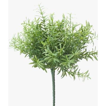 Konstgjord ört, rosmarin JOSHUA på pinne, grön, 20cm, Ø15cm Konstgjord ört, rosmarin JOSHUA på pinne, grön, 20cm, Ø15cm