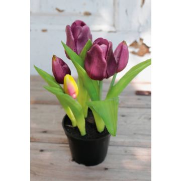 Konsttulp CAITLYN i dekorativ kruka, violett-grön, 25cm, Ø2-6cm Konsttulp CAITLYN i dekorativ kruka, violett-grön, 25cm, Ø2-6cm