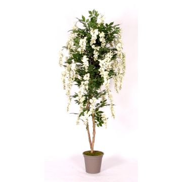 Dekorativ blåregn MALENKA, naturliga stammar, med blommor, vit, 175cm - Tillverkad i Italien