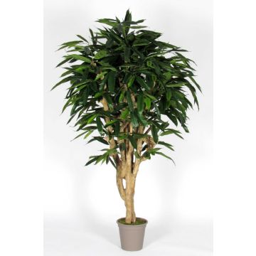 Dekoration Longifolia RAFIKO, naturliga stammar, grön, 175cm - Tillverkad i Italien