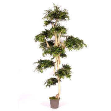 Dekorationsträd japansk lönn AFANAS, naturstam, grön-röd, 250cm - Tillverkad i Italien