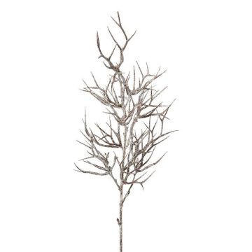 Konstgjord gren Kristustorn ZOLMER, frusen, vit-brun, 70cm Konstgjord gren Kristustorn ZOLMER, frusen, vit-brun, 70cm