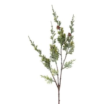 Konstgjord kvist av enbär TRAVLE med kottar, frostad, vitgrön, 70cm