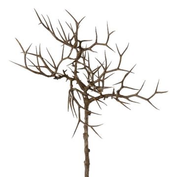 Konstgjord gren Kristustorn SPROLI, brun, 45cm