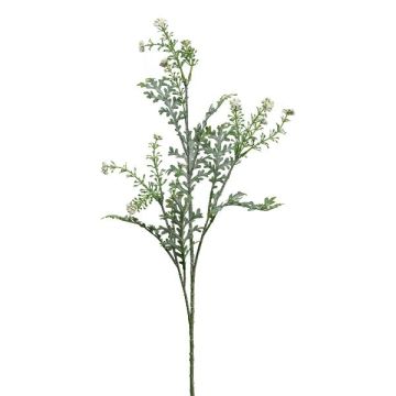 Dekorativ kvist silver-greiskraut KRANVE med blommor, grågrön, 60cm