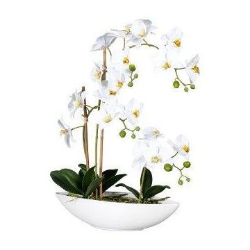 Konstgjord Phalaenopsis-orkidé JELTRON, keramikskål, rötter, vit, 60cm Konstgjord Phalaenopsis-orkidé JELTRON, keramikskål, rötter, vit, 60cm