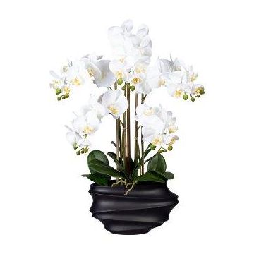 Konstgjord Phalaenopsis-orkidé ZALBROK, dekorvas svart, rötter, vit, 75cm Konstgjord Phalaenopsis-orkidé ZALBROK, dekorvas svart, rötter, vit, 75cm