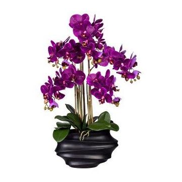 Konstgjord Phalaenopsis-orkidé ZALBROK, dekorvas svart, rötter, lila, 75cm