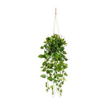 Konstgjord Philodendron Scandens hängväxt BLURA, dekorativ kruka, 75cm