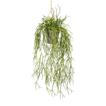 Konstgjord Rhipsalis hängande blomkruka SKRAKY, dekorativ kruka, hängande, grön, 60cm Konstgjord Rhipsalis hängande blomkruka SKRAKY, dekorativ kruka, hängande, grön, 60cm