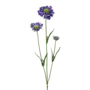 Dekorativ kvist av skabiosa ATLENTO, lila, 65cm Dekorativ kvist av skabiosa ATLENTO, lila, 65cm