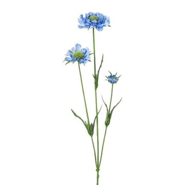 Dekorativ kvist Scabiosa ATLENTO, blå, 65cm Dekorativ kvist Scabiosa ATLENTO, blå, 65cm