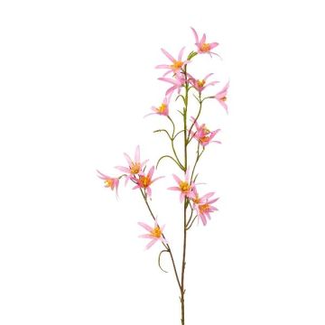 Dekorativ kvist Tweedia solanoides ZORHIL, metallicrosa, 75cm