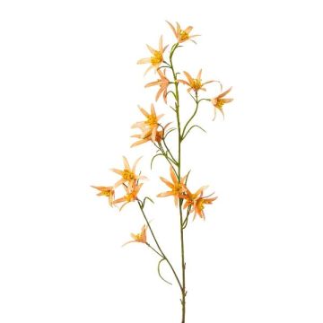 Dekorativ kvist Tweedia solanoides ZORHIL, metallic-orange, 75cm Dekorativ kvist Tweedia solanoides ZORHIL, metallic-orange, 75cm
