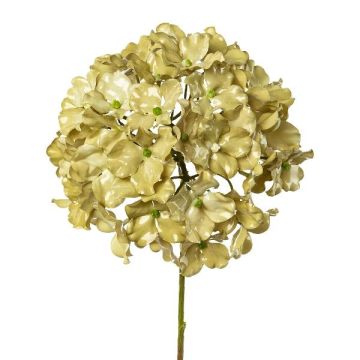 Dekorationsblomma hortensia IGMYR, metallicgrön, 65cm