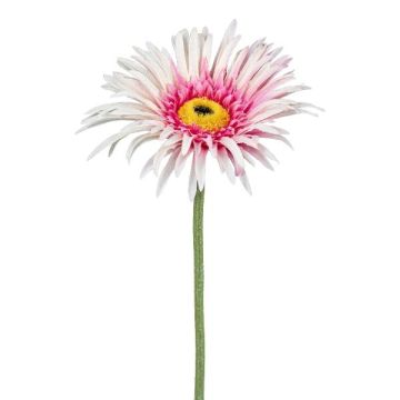 Dekorationsblomma Gerbera FELISY, rosa-vit, 65cm