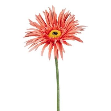 Dekorationsblomma Gerbera FELISY, laxrosa, 65cm Dekorationsblomma Gerbera FELISY, laxrosa, 65cm