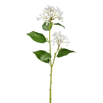 Konstgjord kvist, syren AMERA, vit, 55cm Konstgjord kvist, syren AMERA, vit, 55cm