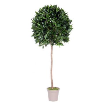 Konstgjord körsbärslorberkula JUROTSCHKA, äkta stam, frukter, 125cm, Ø45cm - Tillverkad i Italien
