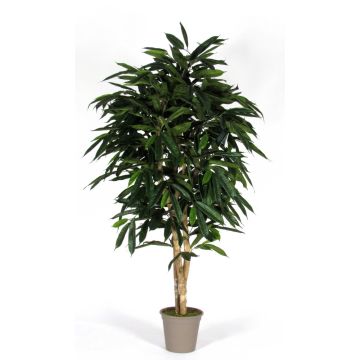 Konstgjord Longifolia MARIANKA, naturliga stammar, grön, 150cm - Tillverkad i Italien