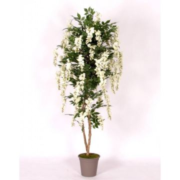 Dekorativ blåregn MALENKA, naturliga stammar, med blommor, vit, 225cm - Tillverkad i Italien