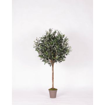 Konstgjord olivträd MILINO, naturstam, med frukter, 125cm - Tillverkad i Italien