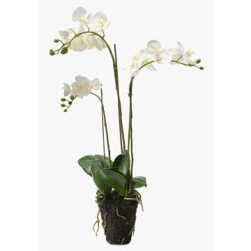 Konstgjord Phalaenopsis-orkidé PABLA, jordklump, vit, 70cm