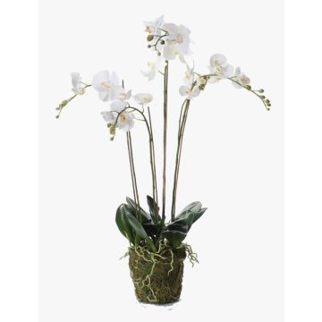Konstgjord Phalaenopsis-orkidé PABLA, mossboll, vit, 90cm