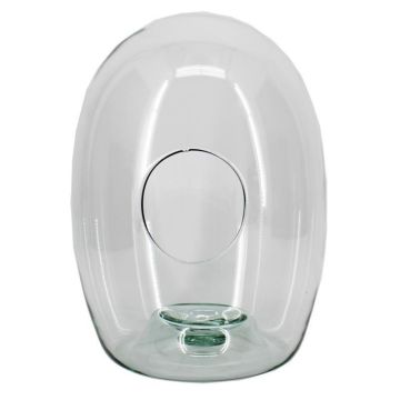 Terrarium i glas LYNASH, transparent, 30cm, Ø23cm Terrarium i glas LYNASH, transparent, 30cm, Ø23cm