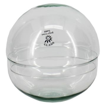 Terrarium i form av en kula BRYSON i glas, återvunnet, klart, 19,5cm, Ø19,6cm Terrarium i form av en kula BRYSON i glas, återvunnet, klart, 19,5cm, Ø19,6cm